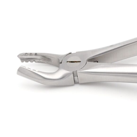 #18 Gentle Line Extraction Forceps — Dental Instruments by EQUIPES Instruments