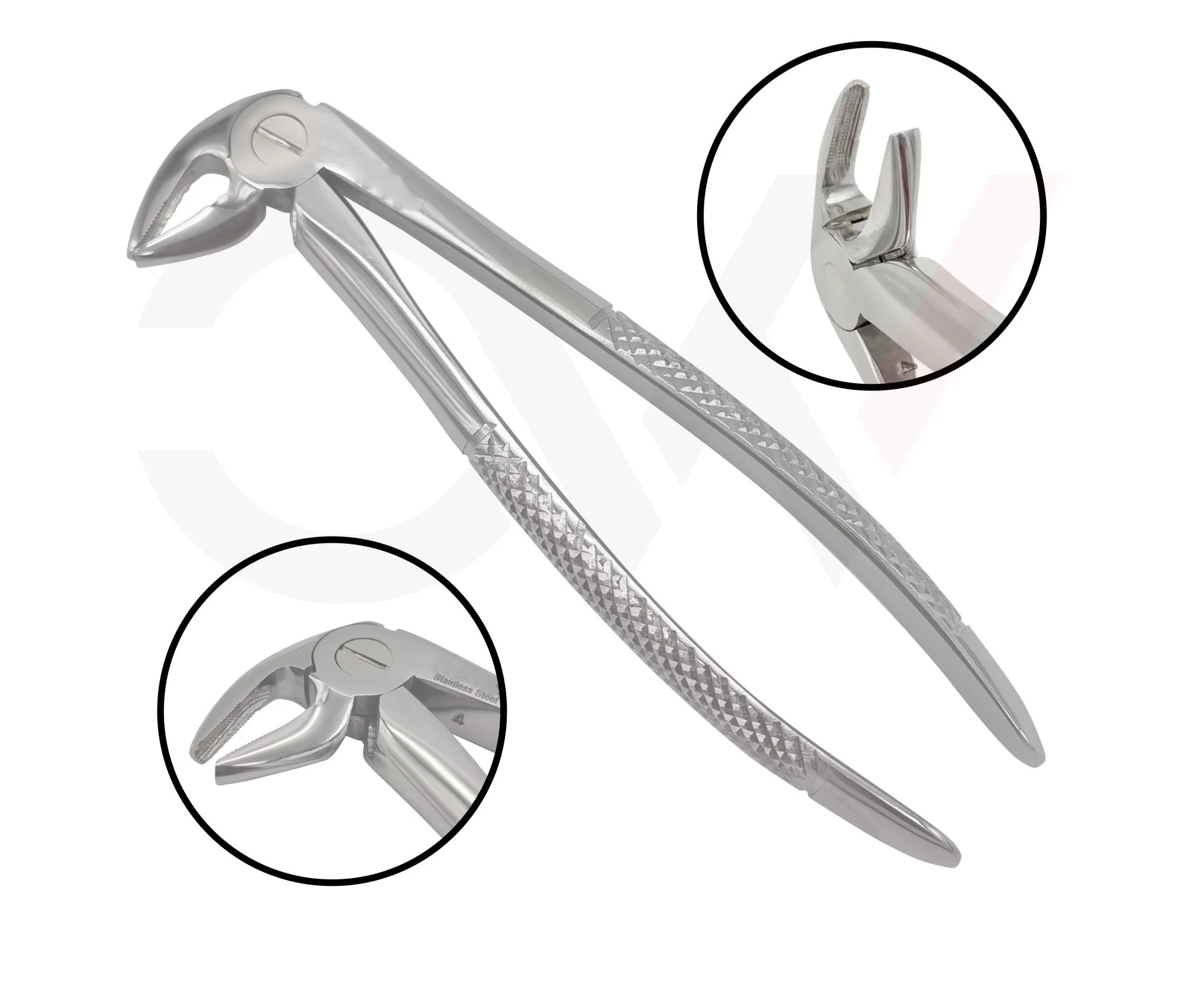 33C Extraction Forceps English Pattern for Lower Roots — Dental Instruments by EQUIPES Instruments