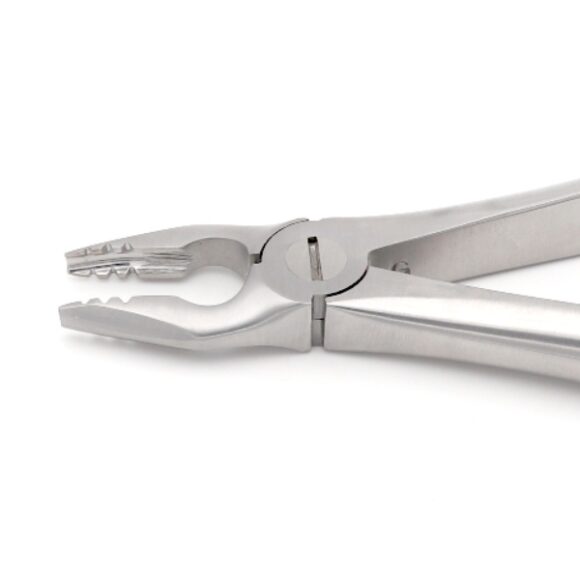 #34N Gentle Line Extraction Forceps — Dental Instruments by EQUIPES Instruments