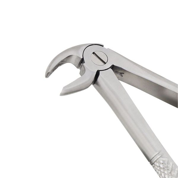 Dental Extracting Forceps-Lower Premolars Fig 13 — Dental Instruments by EQUIPES Instruments