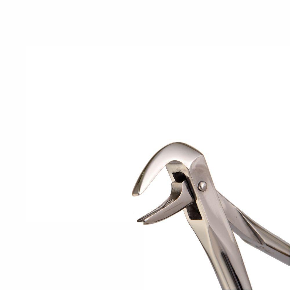 Dental Extracting Forceps-Lower Roots Fig 74 — Dental Instruments by EQUIPES Instruments
