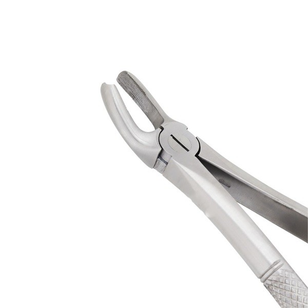 Dental Extracting Forceps-Upper Molars Right Fig 17 — Dental Instruments by EQUIPES Instruments