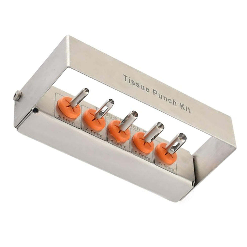 Dental Tissue Punch Kit — Dental Instruments by EQUIPES Instruments