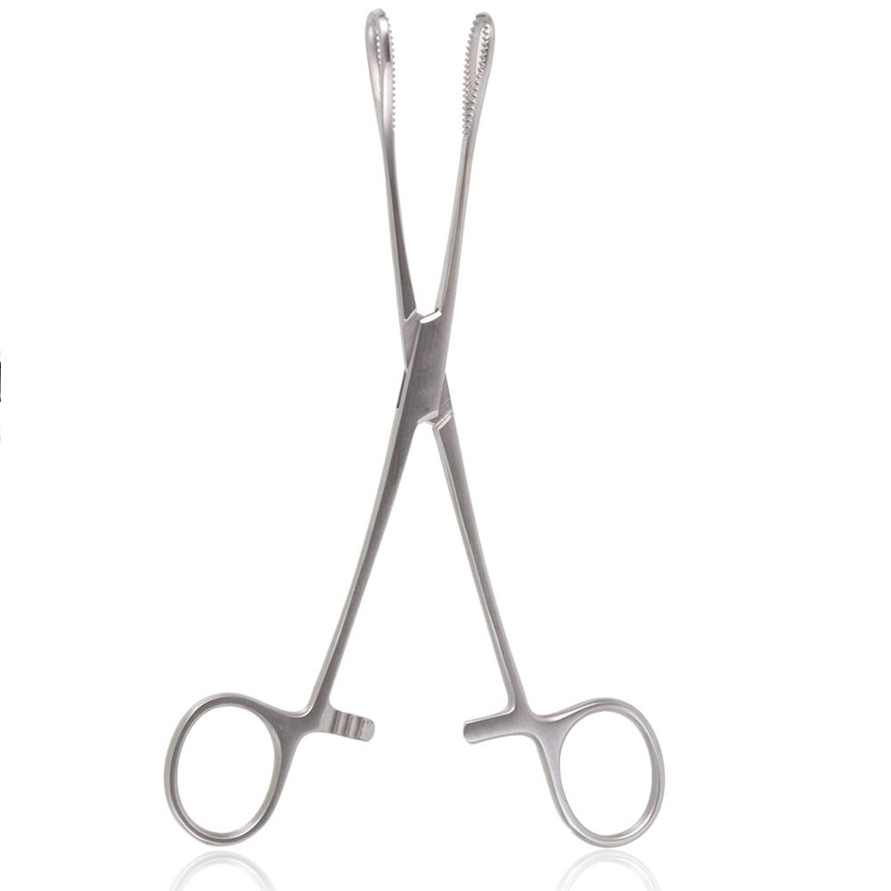 Sponge Forceps Stainless Steel CE — Surgical Instruments by EQUIPES Instruments